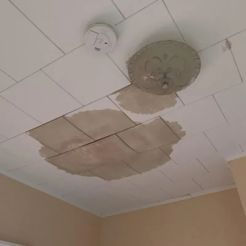 Ceiling Water Damage Repair in Goodland, KS