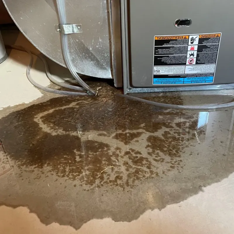 Pipe Burst and Leak Restoration in Goodland, KS
